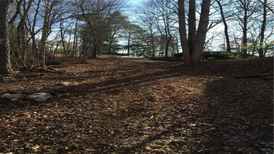 Direct access to the pebble road called Pacer Court from the property.