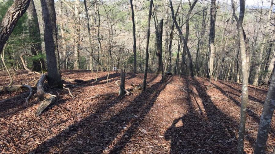 Top section facing Newport Road.