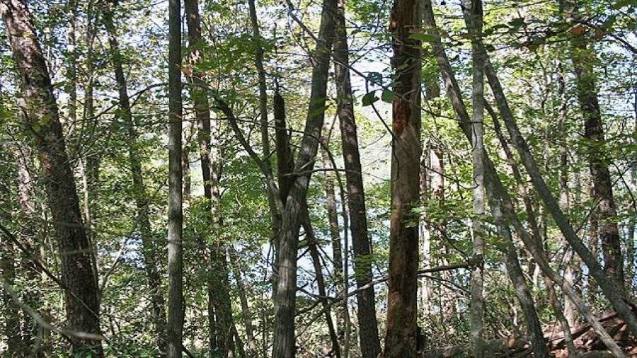 Beautiful views to be had from here