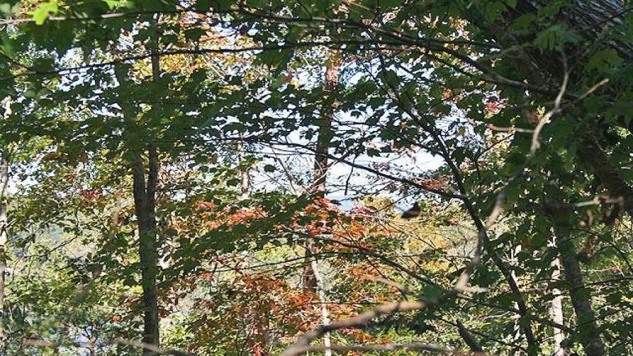 See Lake Zwerner and the beautiful Blue Ridge