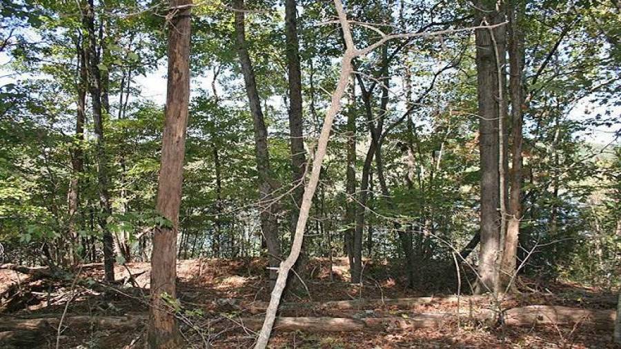 Stand on flat terrain while viewing the lake