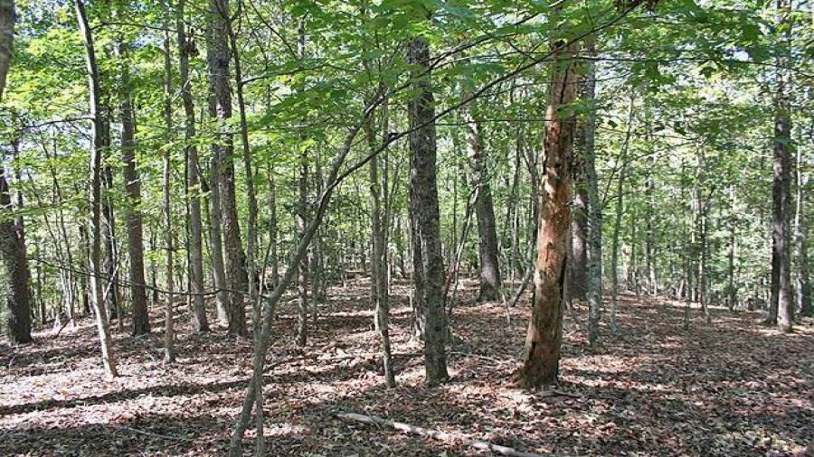 Further up the ridgeline