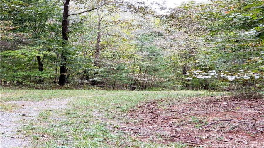 Road leading to property