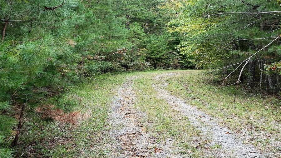 Road leading away from property