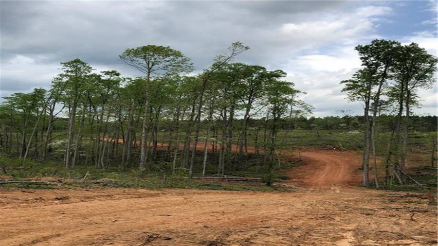 Level drive-way crosses natrual branch with many choices for a wonderful building site!