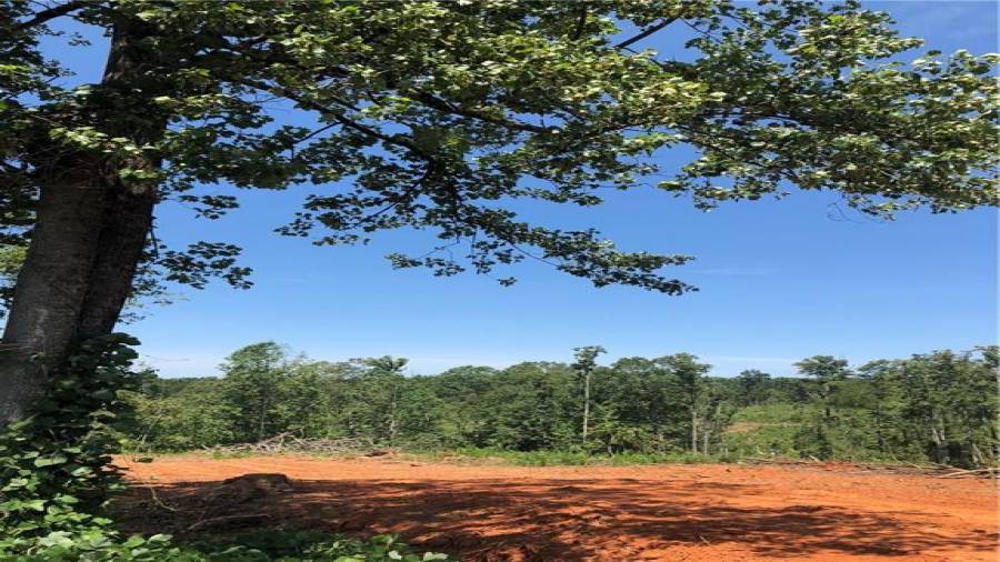 Level entrance into Farm 4