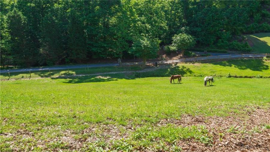 Polo Lane lives up to its name!  Here you have another aspect of your view....lovely horses grazing.  And notice the path and roadway which leads you to the polo fields!