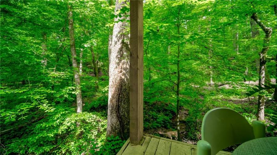 Listen to the creek from the porch of the cabin