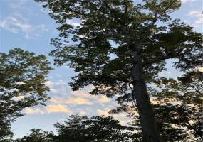 Wide open spaces & blue Skys welcomes you to living in the country.