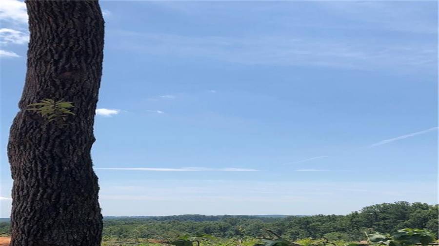 Very secluded Farm way back off the road with views.