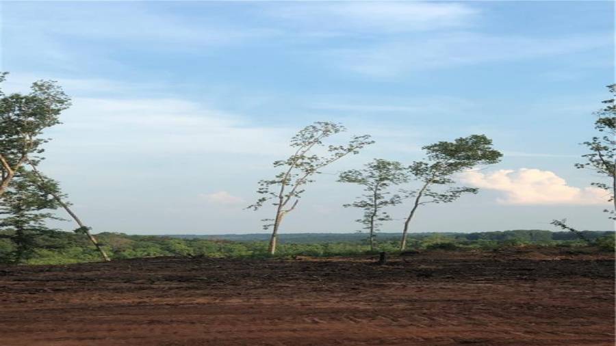 Farm 12 with hill top VIEWS!!!