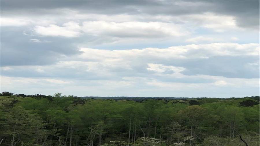 Leading up to the hilltop on Farm 12.