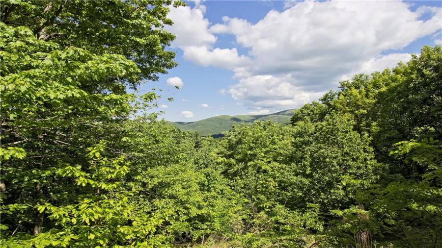 View from the patio on the lower level.