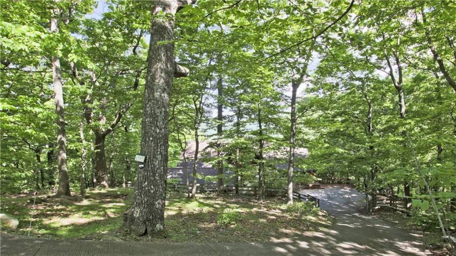 View of the home from the top of the driveway. Lots of privacy on this 3.16 acres. With the gate closed, the yard is fenced for your pups.