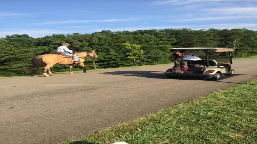 You can travel by horse or by golf cart in Bent Tree. Cars and trucks are allowed too!