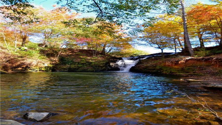 One of several waterfalls in Bent Tree.