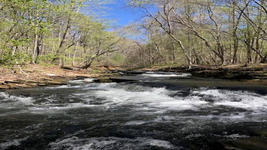 One of several creeks in Bent Tree.