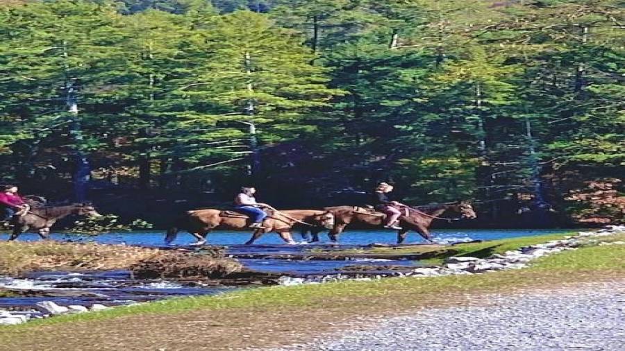 The stables offers trail rides to friends and family of Bent Tree residents.