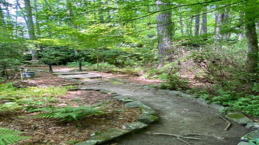 When you stroll through this back yard, your worries are left behind