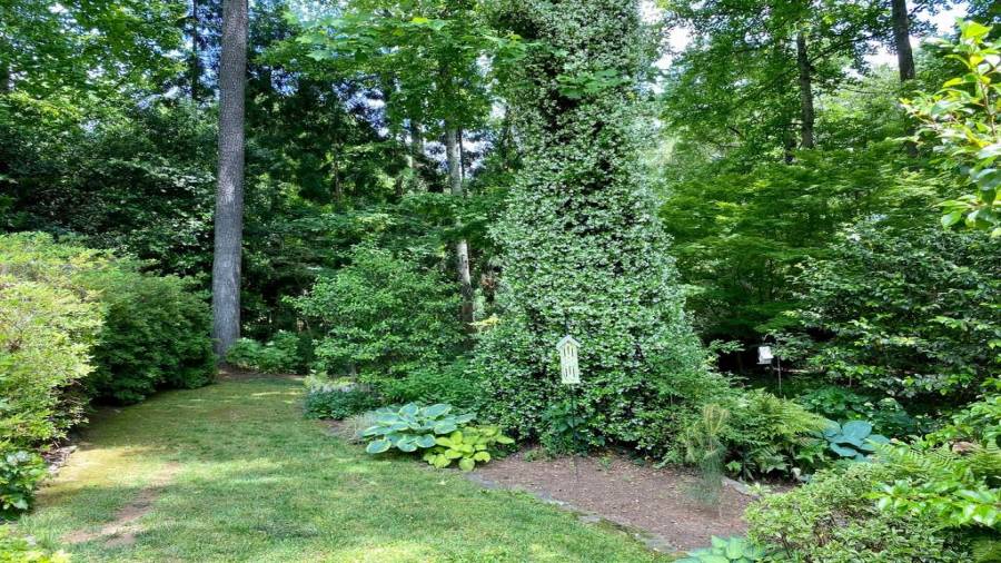 Just soaking in the back yard
