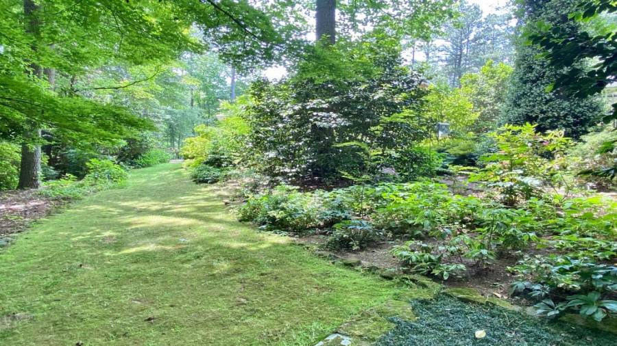 You will feel like a Master Gardner.... without all of the work