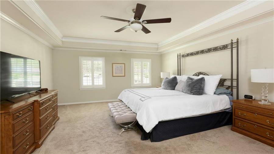 Upstairs spacious primary suite with trey ceilings.