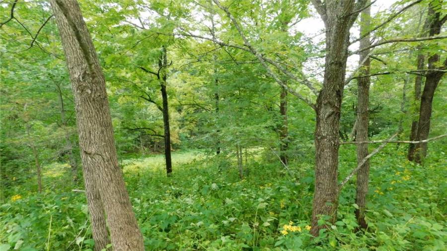 Lot 401. So many possibilities.