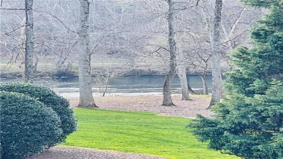 Chattahoochee River Views