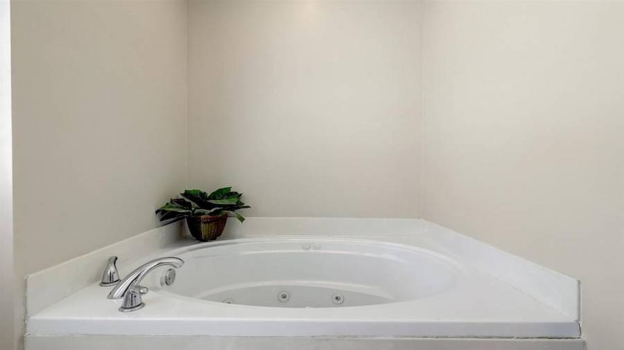 6244 Grant Ford Road - Master Tub