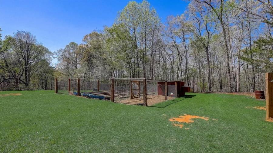 6244 Grant Ford Road - Back Yard