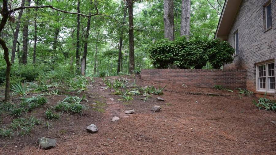 Iris Flowers Everywhere