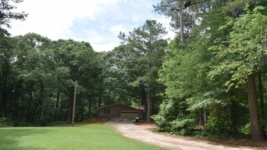 Bring your pets and animals!