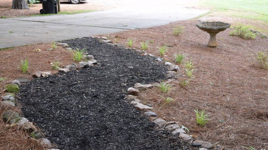 Natural Trails and Surroundings...