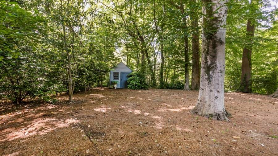 Super private back yard play space. Build a fort or a lady cave!