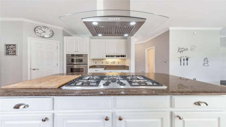 Gas cooktop & Brand NEW energy efficient vent hood