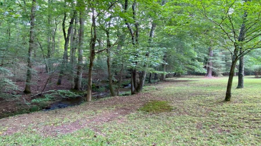 Walking trails are throughout the 56 Acres