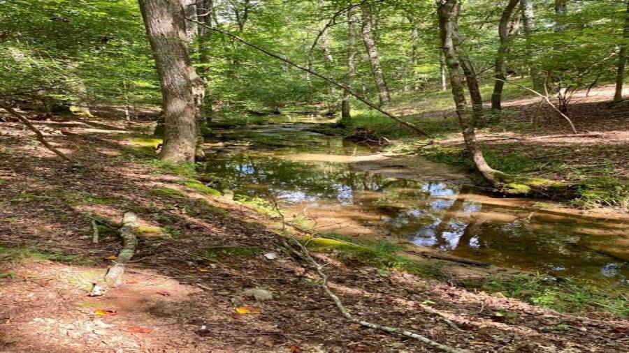 The property has been reviewed by the Forest Stewardship Plan of the Georgia Forestry Commission as recently as 2008