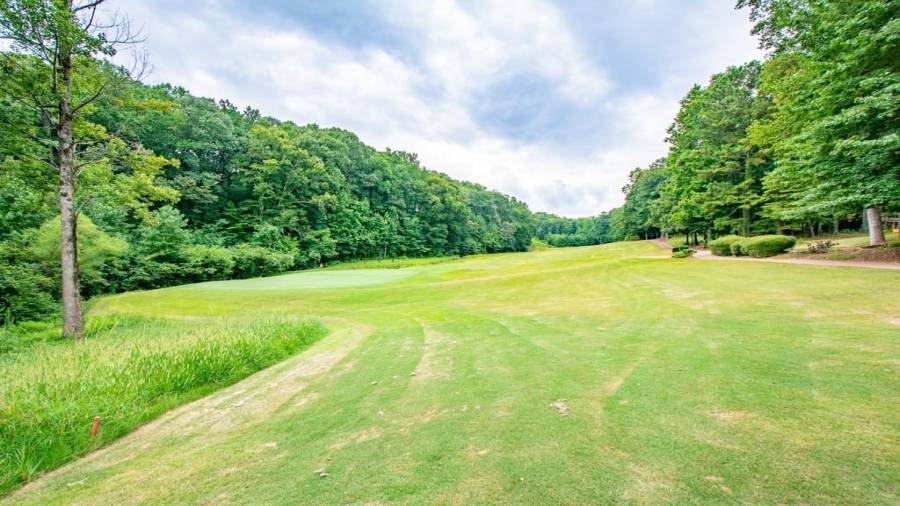 852 White Aster Ct, Dacula, Georgia 30019, ,Single Family,For Sale,White Aster,1003