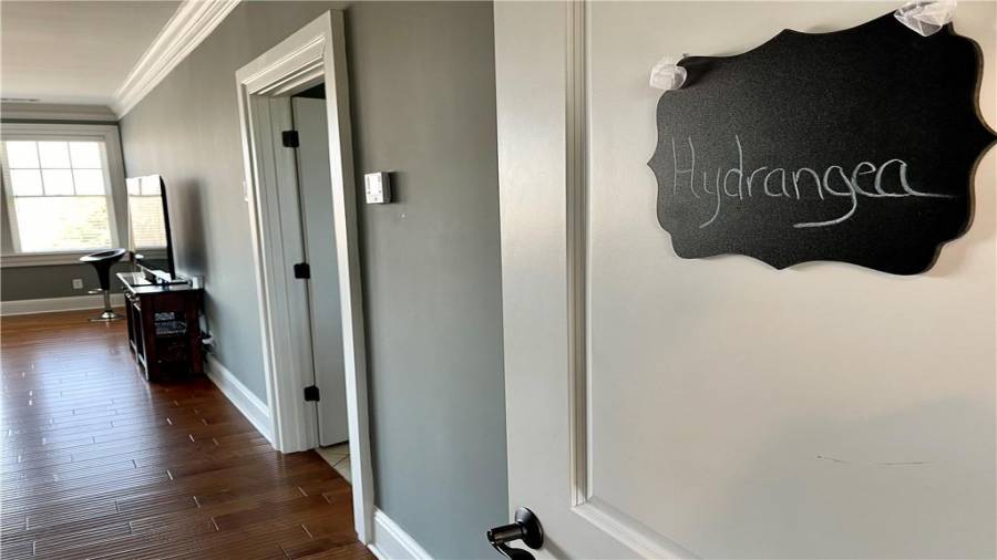 Welcome to the Hydrangea room!