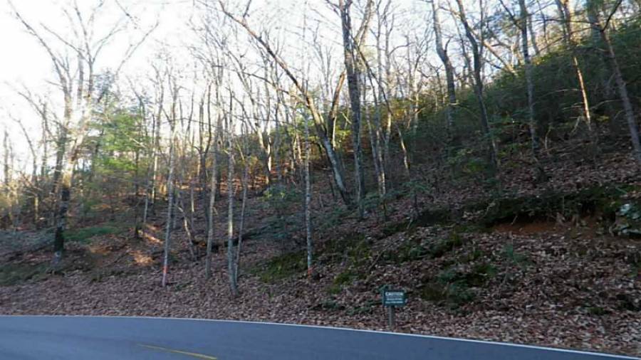 Land. Sloping view lot opposite Lake Sconti and mountains beyond.
